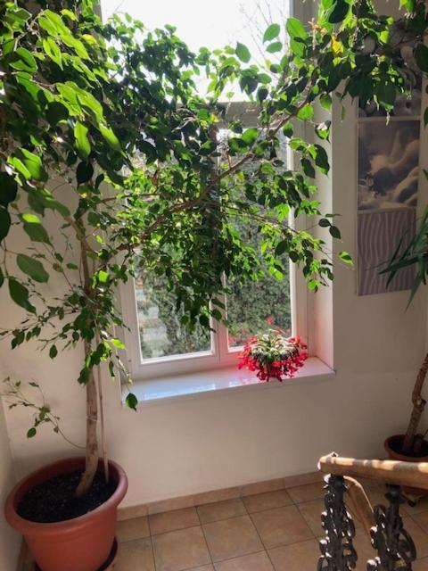 Aparthotel City 5 Prague Luaran gambar